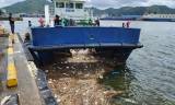 해양환경공단, 7월 집중호우기간 해양부유쓰레기 수거에 총력