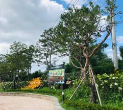 경기도 ‘평택 바람길숲’, 산림청 선정 ‘산책하기 좋은 도시숲’