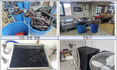 식약처,무허가 의약품 녹용 절편  제조･판매･유통업자 41명 적발