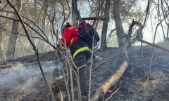 산림당국 충북 괴산 산불 진화 완료