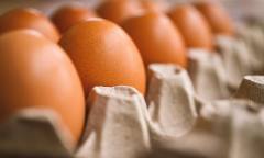 난각번호는 4인데 포장지엔 1등급? 헷갈리는 달걀 표시에 소비자 혼란 가중