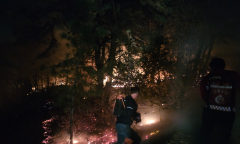 충남 태안 산불 진화 완료