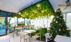 강북구 스마트팜 센터, ‘도심 속 힐링 공간’으로 변신