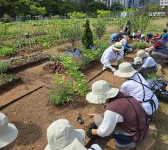 “도심 속 금싸라기 땅, 텃밭 ”  …영등포구, ‘문래동 도시텃밭’ 참여자 모집