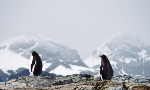 남극 기온 상승에 녹는 빙하…2026년 현재는?