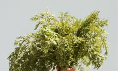 중고거래가 환경을 살린다? ‘순환경제’의 빛과 그림자