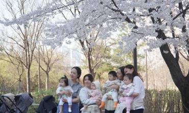 [현장 포토] 설레는 초봄과 초봄을 잇는 ... 여의도  '봄의 정원'  봄꽃 축제 현장