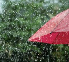  봄비, 도시 환경을 씻고, 계절을 열다