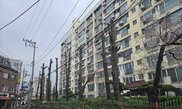 [현장 포토] 식목일 ... 지구촌 기후 위기 공동 대응은 말 뿐 .... 사람들 편의에 의해 잘려 나가는 도심의 나무들