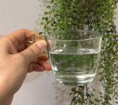 황사 공습에 '물 한 잔'의 과학... 미세먼지 배출 돕는 '211 법칙'