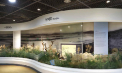 ‘쓰레기 산’에서 ‘친환경 생태공원’으로…‘난지도 이야기관’ 재개관