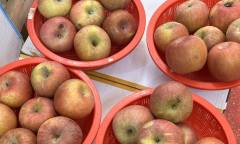 4월의 ‘이상 고온’, 식탁 물가 뒤흔드는 ‘기후 인플레이션’ 도화선 되나