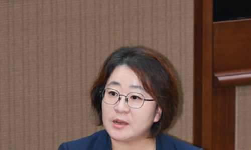 “출근길 안 다니는데 대중교통?”… 1,700억 한강버스, 정체성 논란