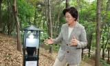 은평구, 여름철 대발생 ‘러브버그’ 친환경 방제 총력