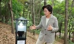 은평구, 여름철 대발생 ‘러브버그’ 친환경 방제 총력
