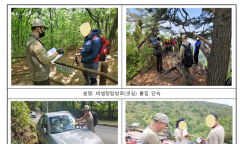환경부, 가을 성수기 국립공원 불법·무질서 행위    집중단속