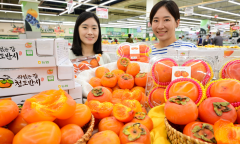 농협유통 하나로마트...가을에만 맛볼 수 있는 '청도 반시' 선보