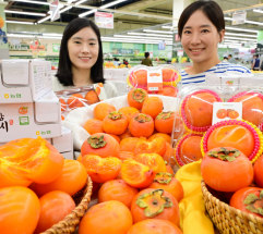 농협유통 하나로마트...가을에만 맛볼 수 있는 '청도 반시' 선보