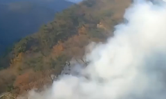 산림당국 경기 군포 산불 진화 완료
