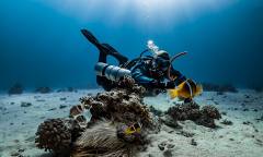 따뜻한 관심이 푸른 바다를 만든다, 시민 실천이 바꿀 해양의 미래