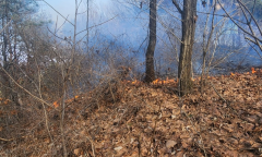 경기 여주 산불 발생 및 진화 완료