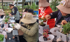 “한겨울, 어르신 손끝에서 피어난 초록 이야기” 은평구, 반려식물 작품 전시회 개최