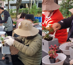 “한겨울, 어르신 손끝에서 피어난 초록 이야기” 은평구, 반려식물 작품 전시회 개최