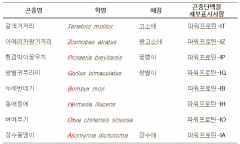농촌진흥청, 단계별 선호도 조사 거쳐 곤충단백질 공식 이름 정해
