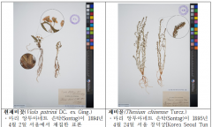 국립생물자원관, 12월 30일 고해상도 디지털 식물표본 1만 2천여 점 누리집 공개