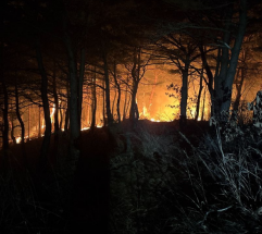 강원 고성 산불발생... 산림당국 완료