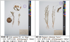 기후에너지환경부,  130년 전 식물표본, 디지털 사진으로 되살아나