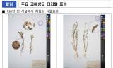AI가 환경에 미치는 영향력은? 130년 전 식물표본이 디지털 사진으로 재탄생