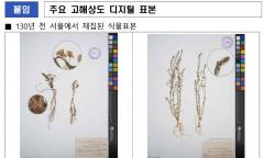 AI가 환경에 미치는 영향력은? 130년 전 식물표본이 디지털 사진으로 재탄생