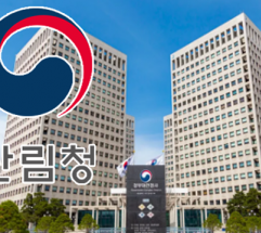 대구 달성군 산불 발생 및 진화 완료