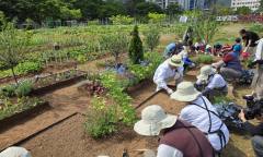 “도심 속 금싸라기 땅, 텃밭 ”  …영등포구, ‘문래동 도시텃밭’ 참여자 모집