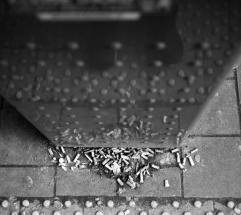 “하수구는 재떨이가 아닙니다”…버린 꽁초, 결국 ‘침수’로 돌아옵니다