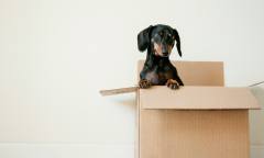 택배 상자의 두 얼굴? 편리함 뒤에 쌓이는 포장 쓰레기