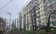 [현장 포토] 식목일 ... 지구촌 기후 위기 공동 대응은 말 뿐 .... 사람들 편의에 의해 잘려 나가는 도심의 나무들