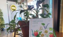 [김미선의 문화 산책] 생동하는 봄에 카페에서 읽을 만한 이색 추천 도서 ... ‘이랑의 자연 담은 스케치북’