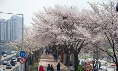 인증샷보다 더 중요한 건? 머문 자리 남기지 않기