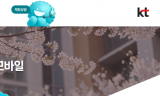 “버티면 이긴다?”…KT, 토탈영업 TF 재배치 ‘후폭풍’