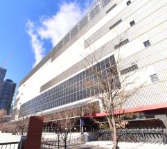 유럽의 탄소 규제, 우리나라 IT 기업의 'AI 전략' 흔든다