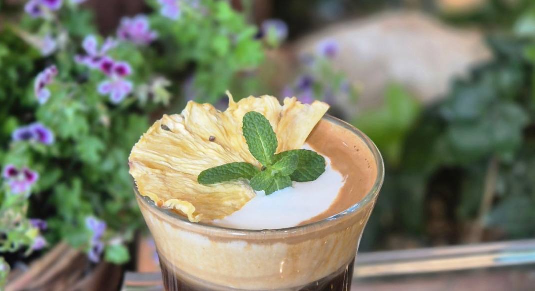  MZ가 반한 ‘지구촌 자연환경’을 그대로 담은, 이색 공간 카페와 예쁜 식물 조합 레시피 소개