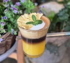  MZ가 반한 ‘지구촌 자연환경’을 그대로 담은, 이색 공간 카페와 예쁜 식물 조합 레시피 소개