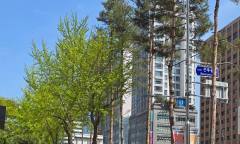 [환경 톡톡] 1년 중 대기 중 이산화탄소가 가장 높은 5월 ... 지방자치단체의 무분별한 나무 가지치기가 시민들 건강과 탄소중립 실천을 방해