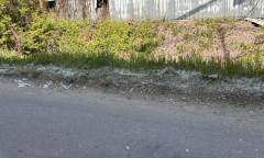 봄의 불청객 ‘꽃가루 습격’… 송홧가루·꽃씨 날림 비상