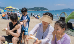 [기획 리포트] 피서철 선크림의 역습… 백화 현상에 우는 여름 바다