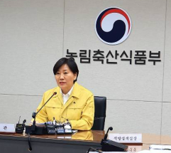 폭염·폭우에 배추값 흔들릴까…정부, 작년보다 한발 앞선 여름배추 안정대책 가동