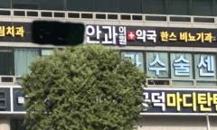 "백내장 환자 33만 명 시대"… 흐려지는 시력 지키는 '3대 방어선'