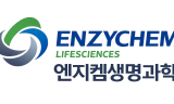 법원, 엔지켐생명과학 임시주주지위 가처분 기각…경영권 분쟁 새 국면